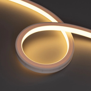 Гибкий неон  050608