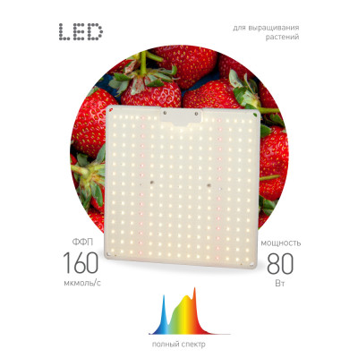 Светильник для растений  FITO-80W-LED-QB